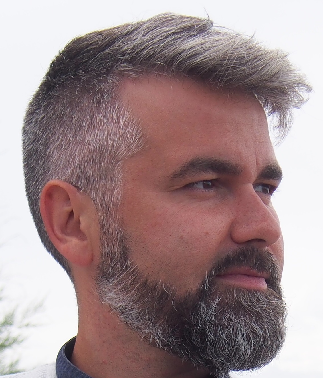 Photo de Damien Bonicel